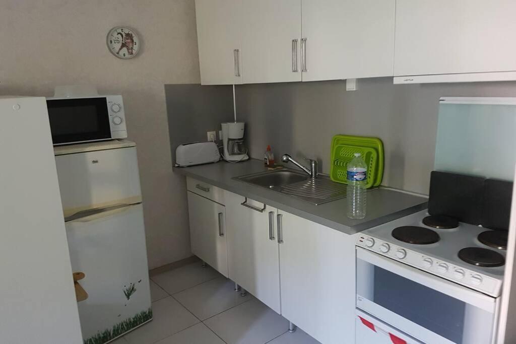 Appt 2 Etoiles Agreable Et Calme Vue Sur Montagnes Apartment Amélie-les-Bains-Palalda Екстериор снимка