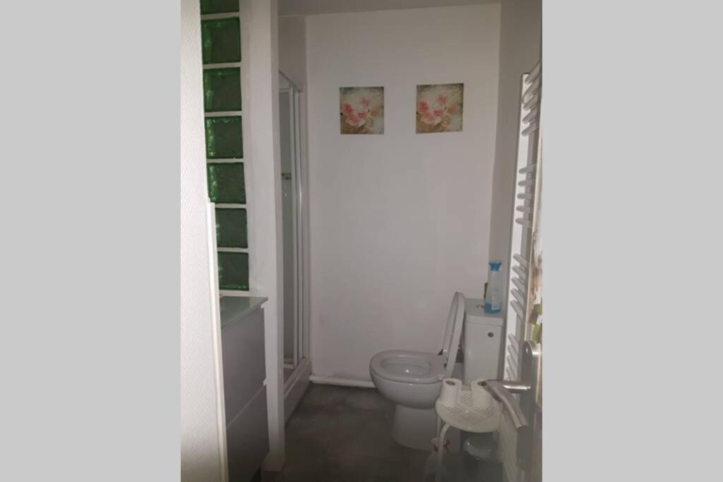 Appt 2 Etoiles Agreable Et Calme Vue Sur Montagnes Apartment Amélie-les-Bains-Palalda Екстериор снимка